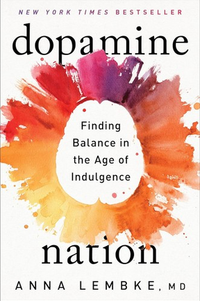 Cover of Dopamine Nation